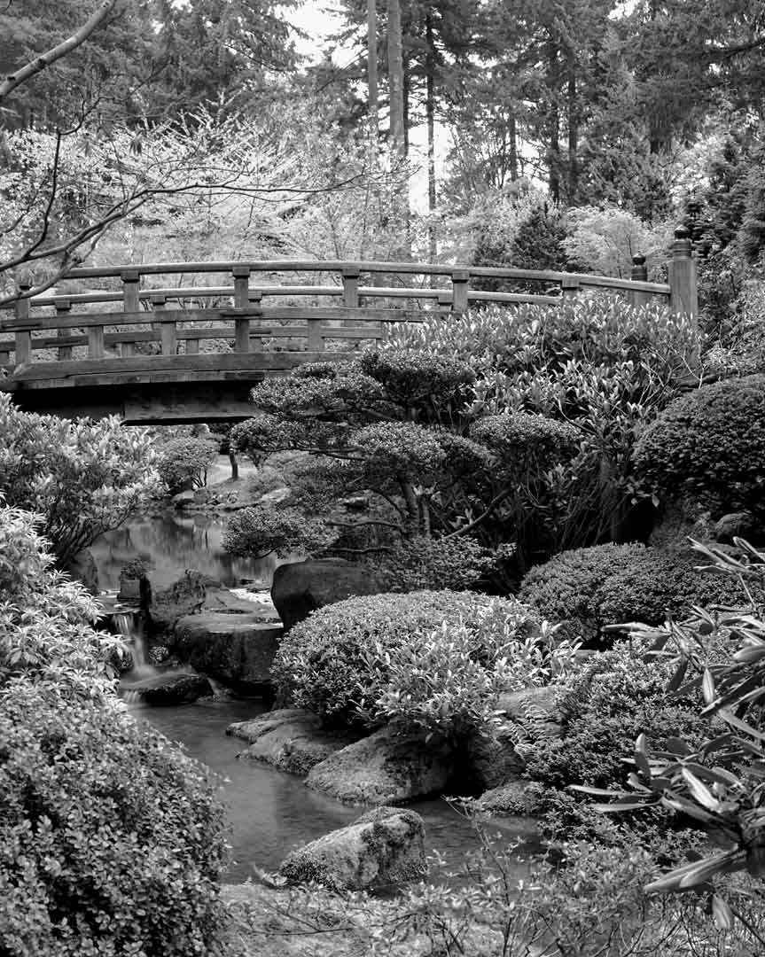 Japanese Gardens #1, Portland, Oregon, USA, 2001