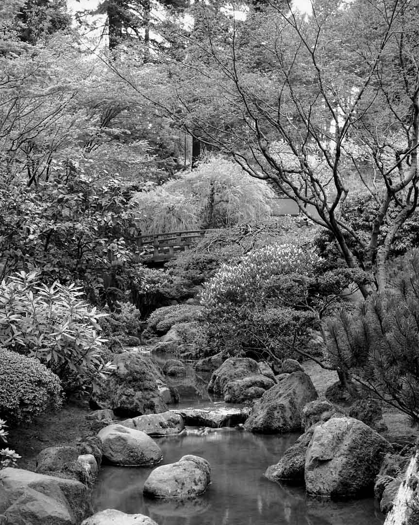 Japanese Gardens #2, Portland, Oregon, USA, 2001