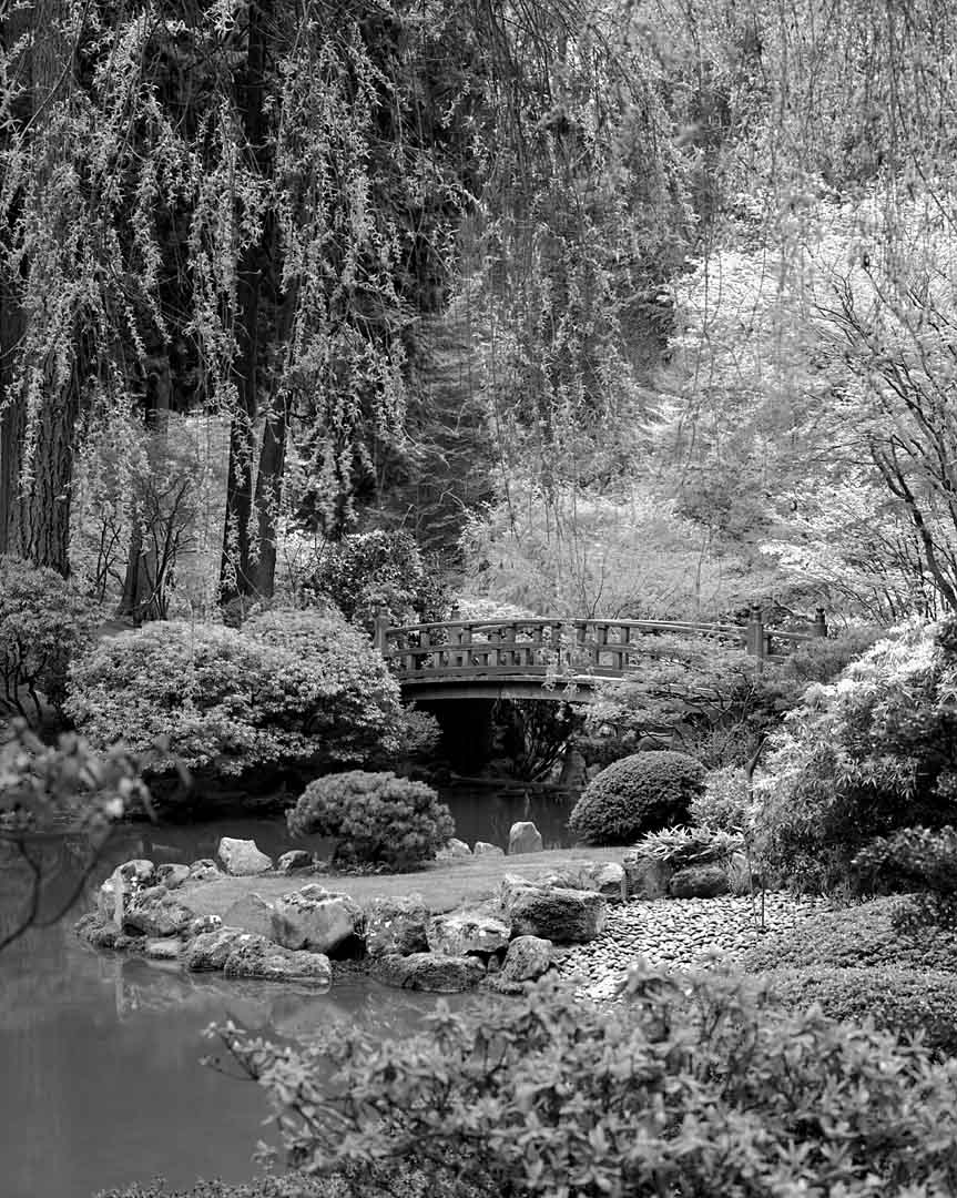 Japanese Gardens #6, Portland, Oregon, USA, 2001