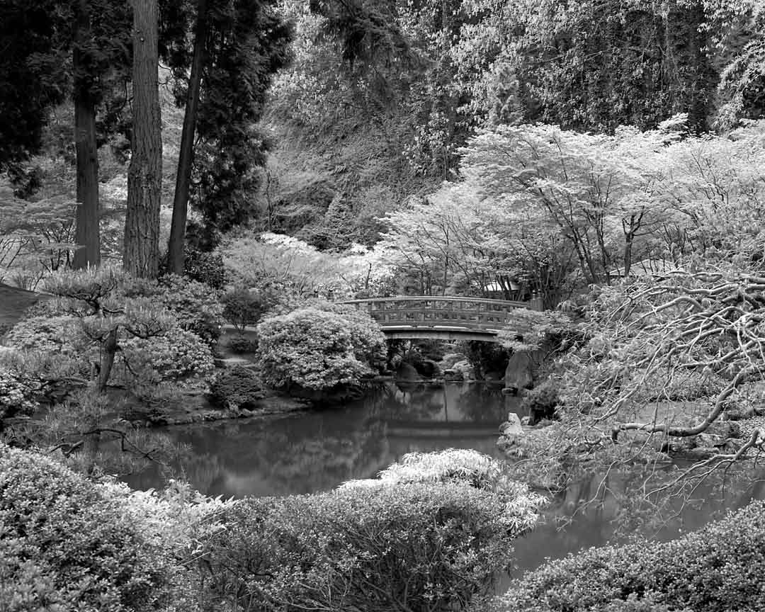 Japanese Gardens #8, Portland, Oregon, USA, 2001