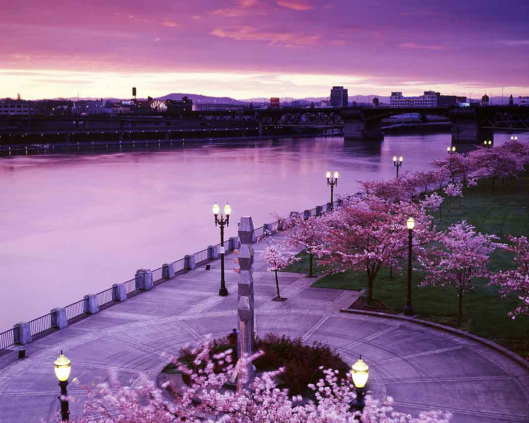 Spring along the Waterfront #1, Portland, Oregon, USA, 2003