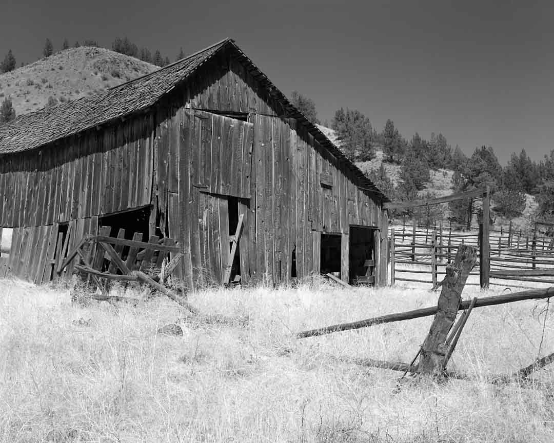 Old Farmstead #3, Fossil, Oregon, USA, 2003