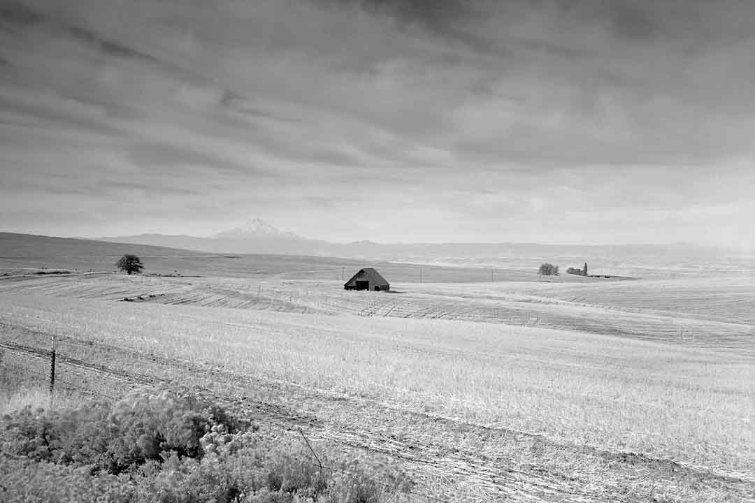 Fields Afar, Columbia Plateau, Oregon, USA, 2003