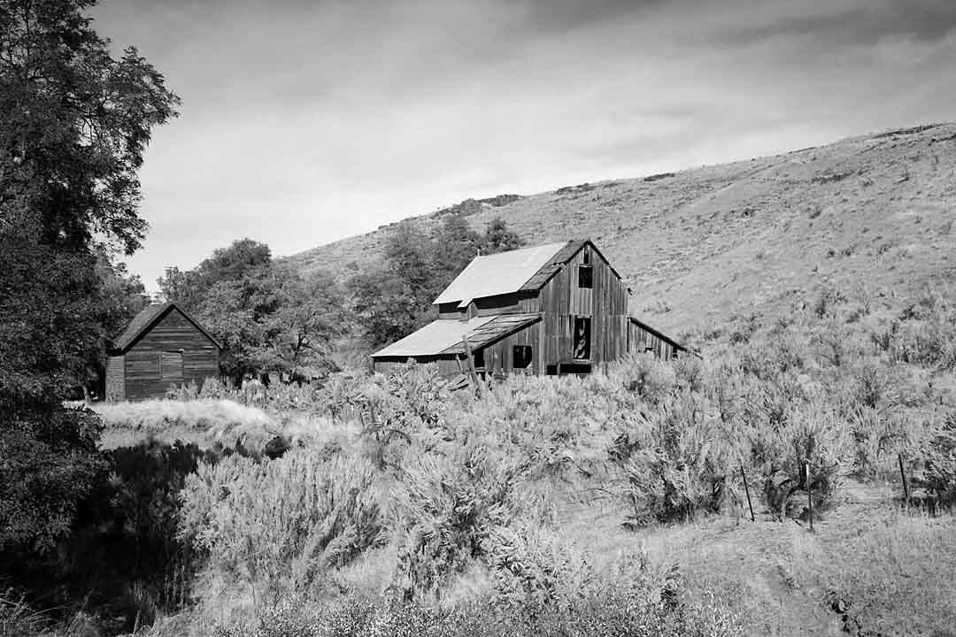 Old Barn #18, Columbia Plateau, Oregon, USA, 2003