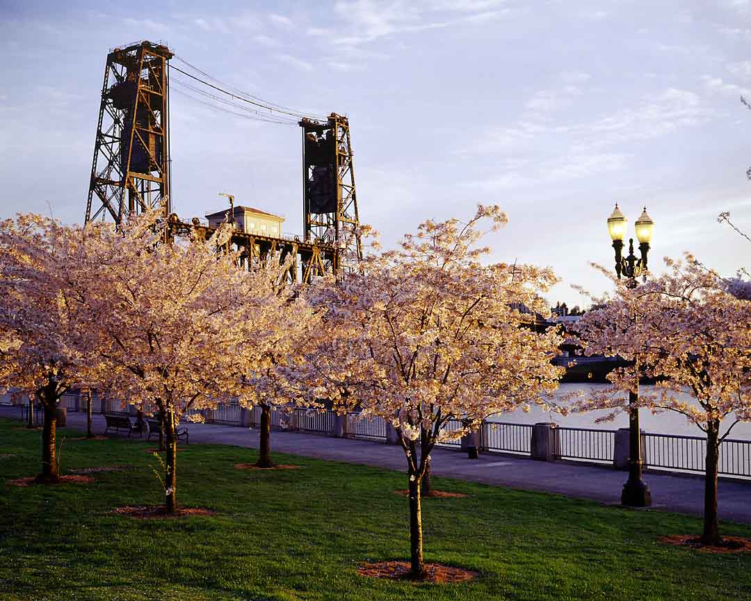 Steel Bridge #3, Portland, Oregon, USA, 2004