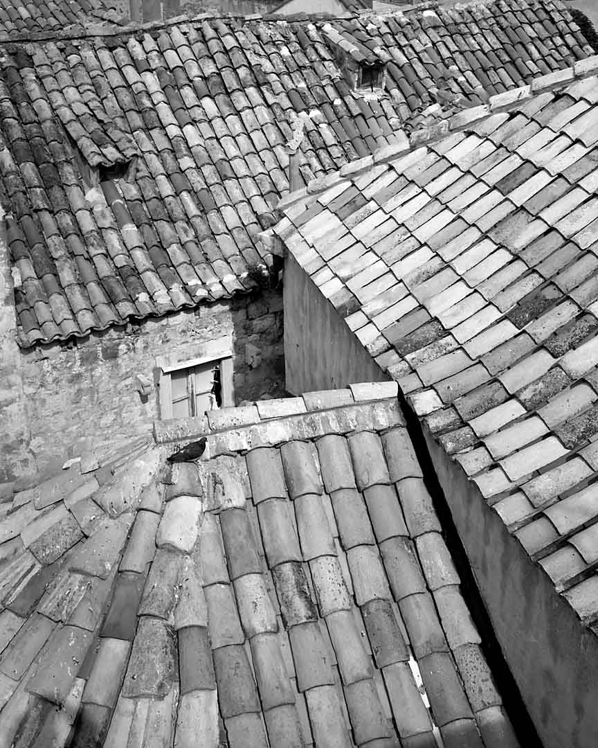 Pigeon and Roof, Dubrovnik, Croatia, 2003