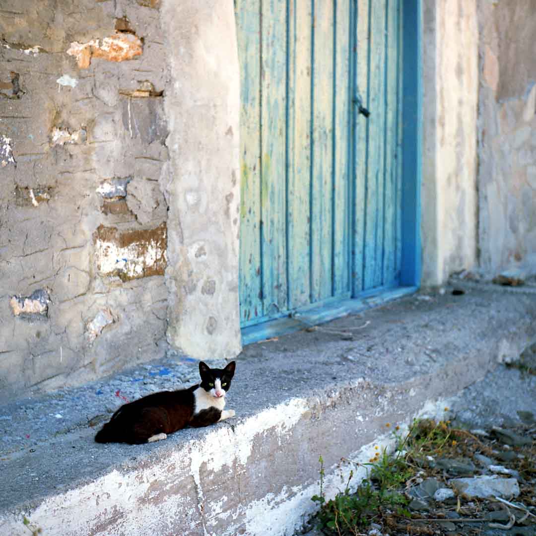 Cat and Door, Astipalea, Greece, 2002