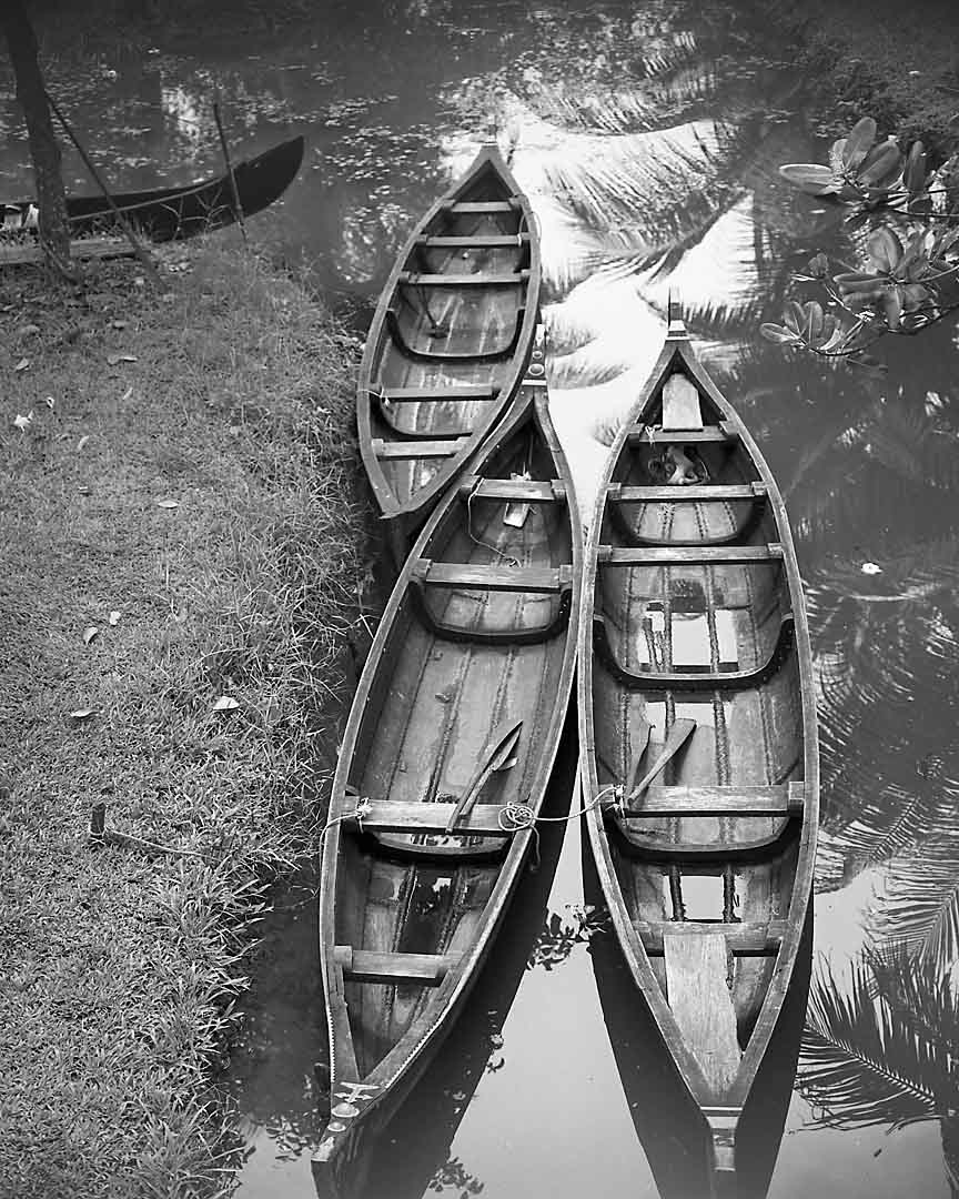 Canoes #3, Kumarakom, India, 2005
