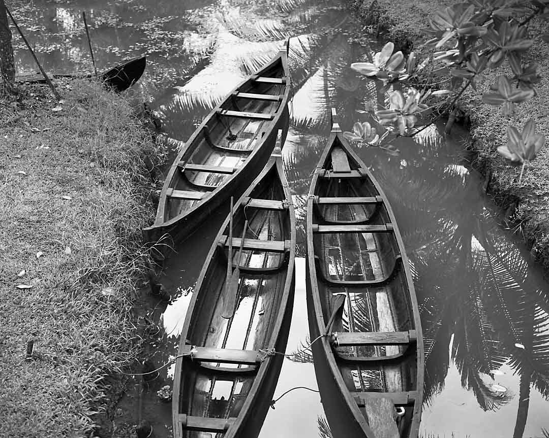 Canoes #4, Kumarakom, India, 2005