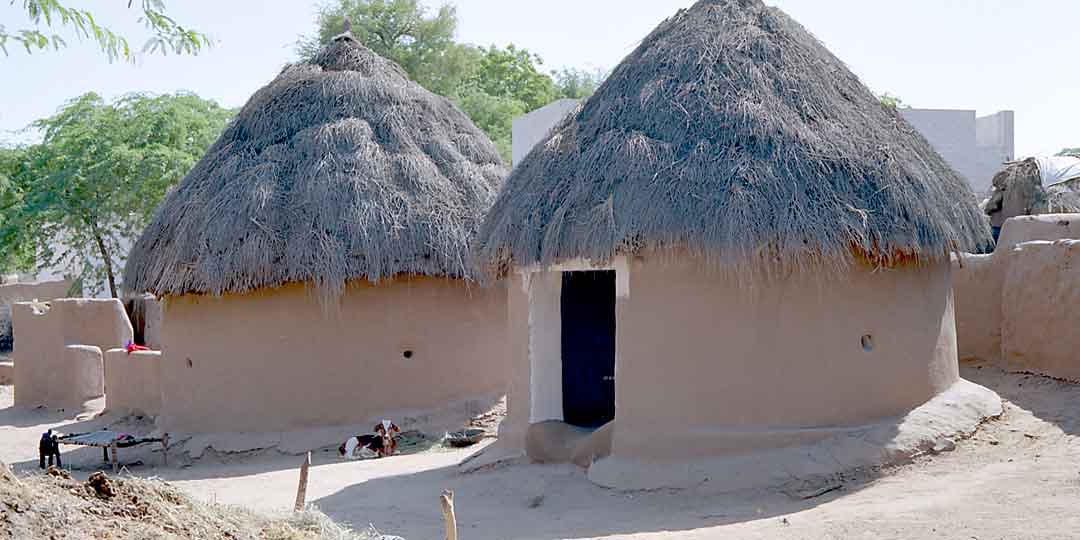 Goat and Hut #1, Rajasthan, India, 2005