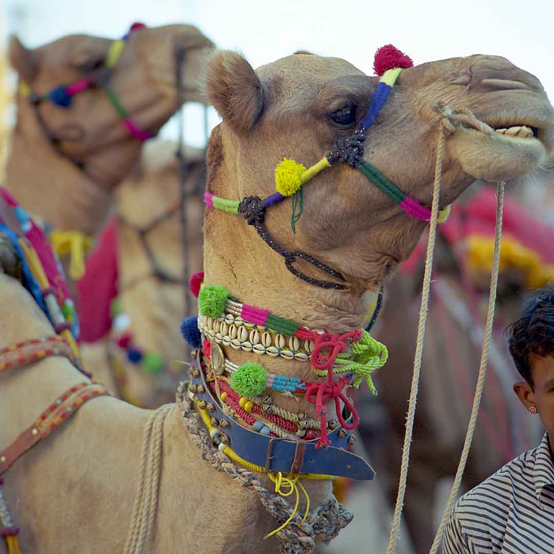Dussehra #3, Jaisalmer, India, 2005