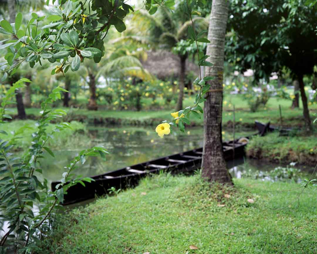 Flower and Canoe #2, Kumarakom, India, 2005