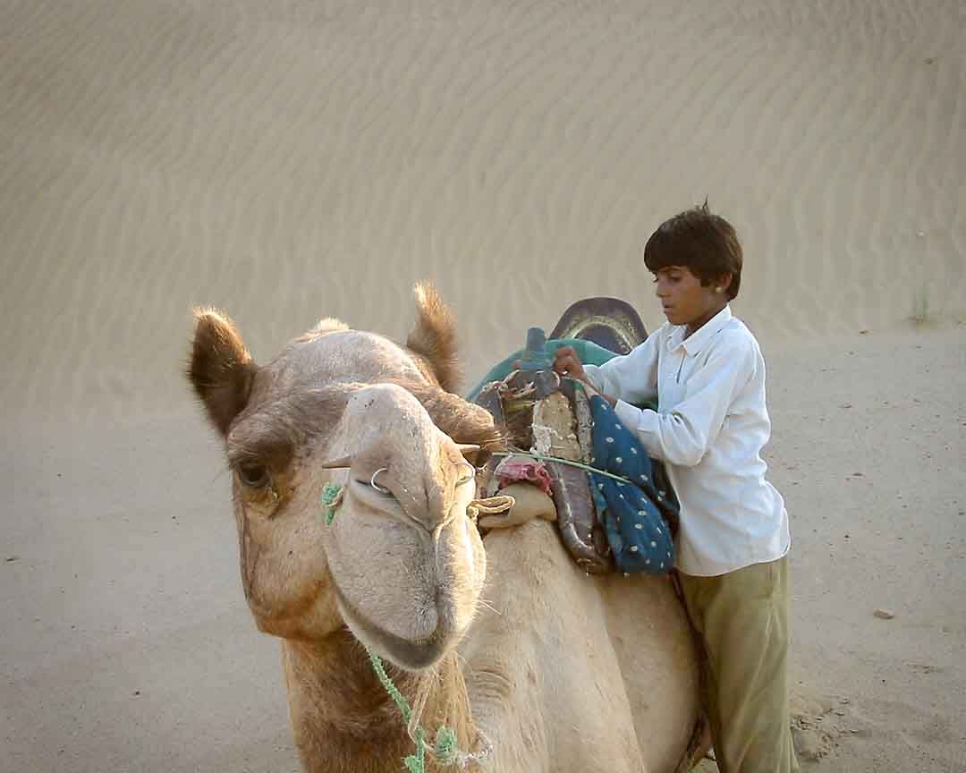 Camel and Boy #2, Khuri, India, 2005
