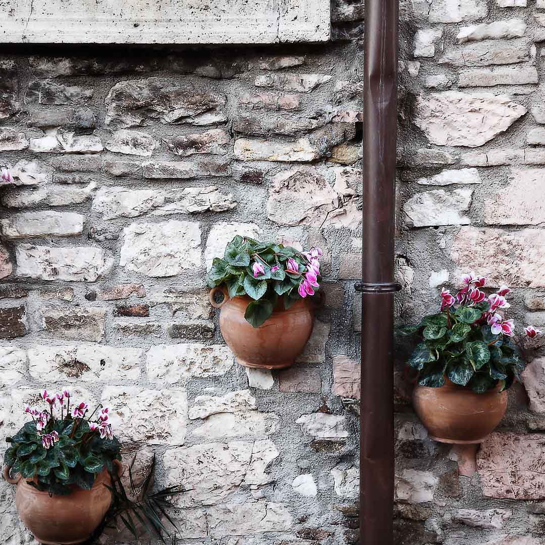 Wall #1, Assisi, Italy, 2008