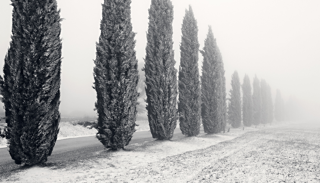 First snow #5, Montalcino, Italy, 2008