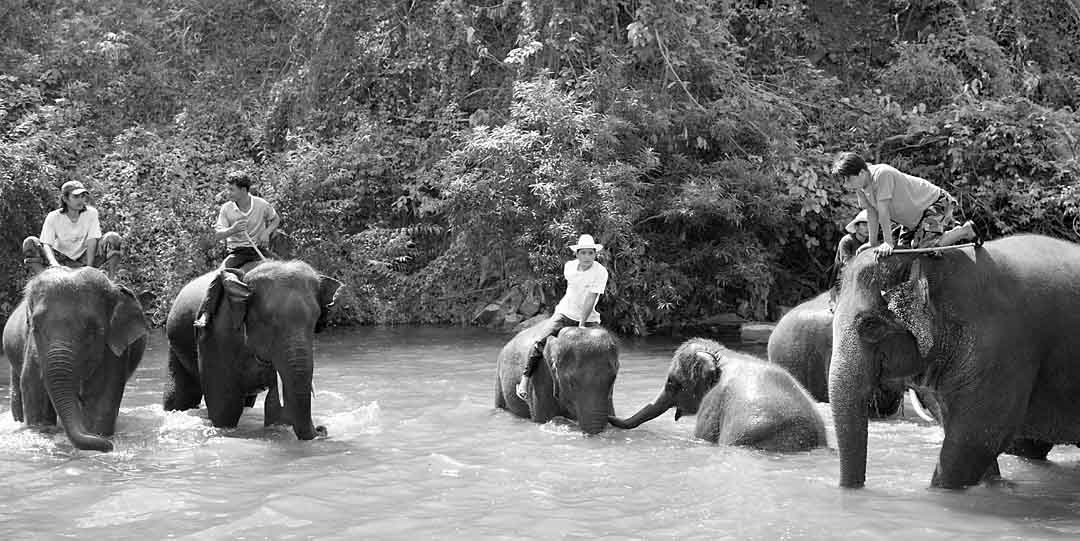 Daily Bath #4, Chiang Mai, Thailand, 2004