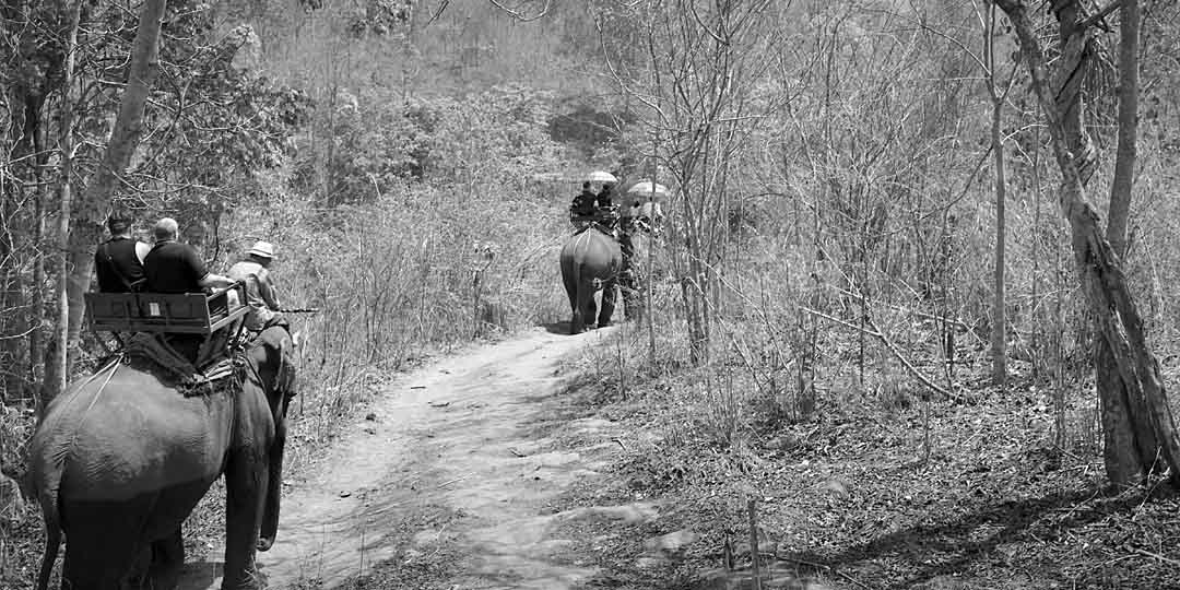 Elephant Trek #10, Chiang Mai, Thailand, 2004