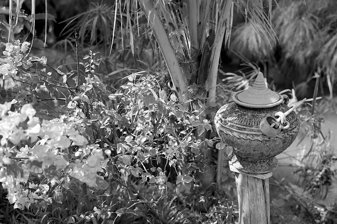 Water Pot #1, Chiang Mai, Thailand, 2004