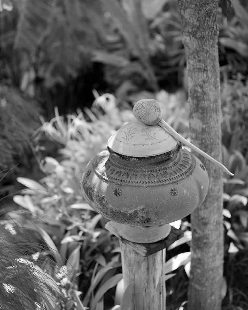 Water Pot #2, Chiang Mai, Thailand, 2004