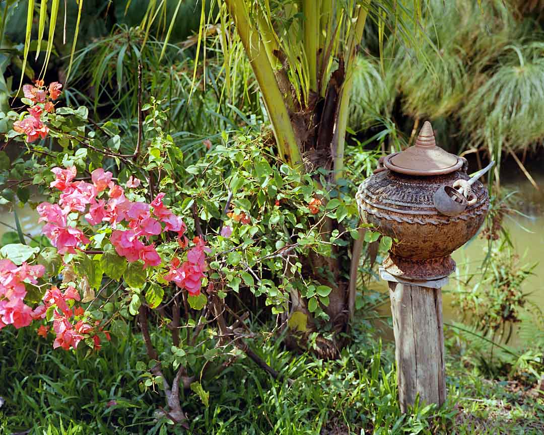 Water Pot #6, Chiang Mai, Thailand, 2004