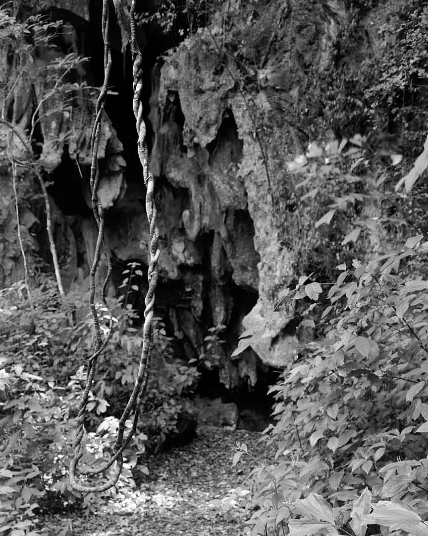 Vine and Cave #1, Sa Nang Manora, Thailand, 2004
