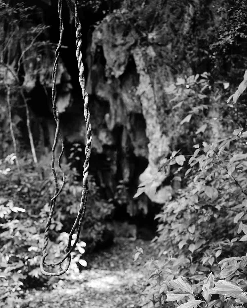 Vine and Cave #2, Sa Nang Manora, Thailand, 2004