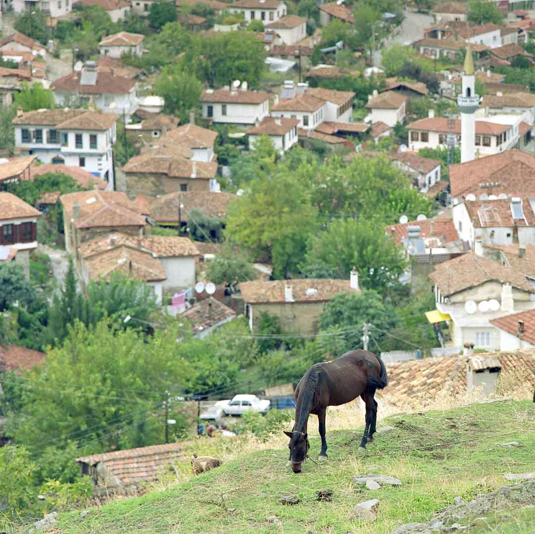 Sirince #22, Izmir Province, Turkey, 2006