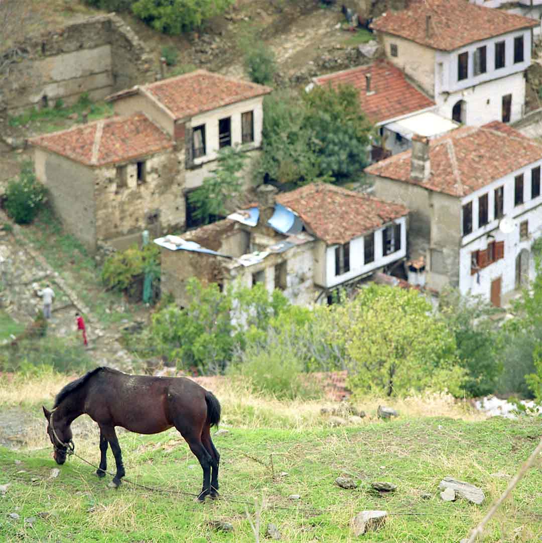 Sirince #23, Izmir Province, Turkey, 2006
