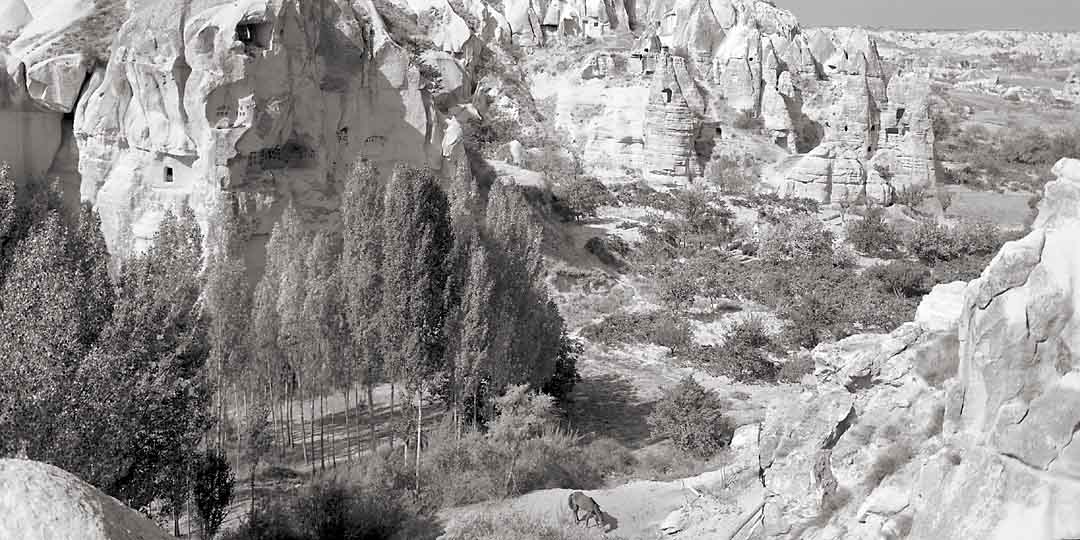 Goreme Valley #12, Cappadocia, Turkey, 2006